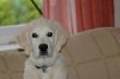 DSC_0007.jpg