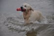 DSC_0007.jpg